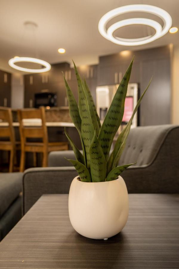 Quality Inn Sunshine Suites 테라스 외부 사진